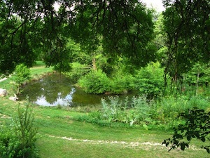 etang-hameaudelabrousse